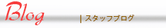 スタッフのブログ