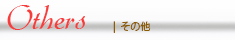 その他